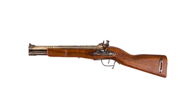 historic gun